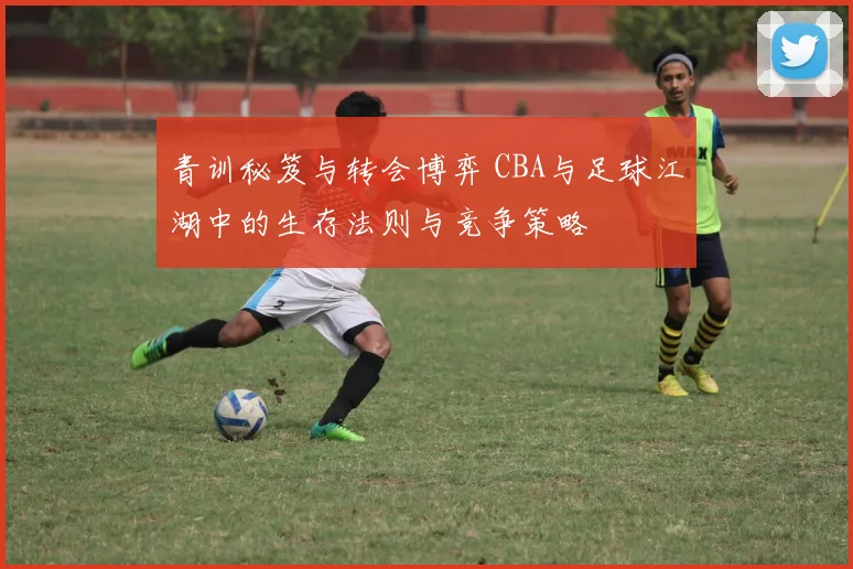 青训秘笈与转会博弈 CBA与足球江湖中的生存法则与竞争策略
