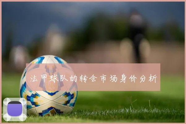 法甲球队的转会市场身价分析