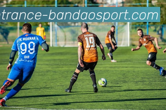 半岛体育服务体系